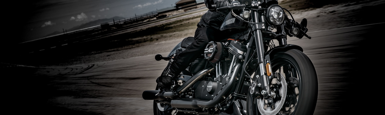 2021 Harley-Davidson® for sale in Bert's Black Widow Harley-Davidson®, Port Charlotte, Florida